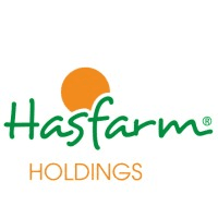 Hasfarm Holdings Hasfarm Holdings